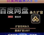 百度网盘无限扩容技术,外面卖399的,无论自己用还是用做引流都可以-则成副业项目资源站