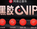网易云音乐撸黑胶年卡及变现方法，收益可无限放大-则成副业项目资源站