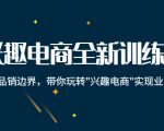 兴趣电商全新训练营：打破品销边界，带你玩转“兴趣电商“实现业务增长-则成副业项目资源站