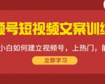 视频号短视频文案训练营：0基础小白如何建立视频号，上热门，能卖货！-则成副业项目资源站