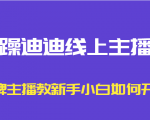 暴躁迪迪线上主播课，金牌主播教新手小白如何开播-则成副业项目资源站