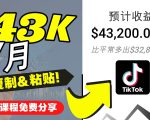 2022抖音国际版Tiktok赚钱项目：每天上传一个视频就轻松月入$43200-则成副业项目资源站