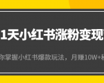 21天小红书涨粉变现营（第4期）：带你掌握小红书爆款玩法，月赚10W+秘密-则成副业项目资源站