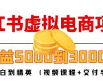 小红书虚拟电商项目：从小白到精英 月收益5000到30000 (视频课程+交付手册)-则成副业项目资源站