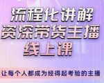 婉婉-主播拉新实操课，流程化讲解资深带货主播，让每个人都成为经得起考验的主播-则成副业项目资源站