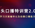 镜头口播特训营2.0版，学习文案编导以及拍摄口播能力（50节课时）-则成副业项目资源站
