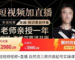 张越·短视频+直播,自然流三频共振起号实操课,短视频所有流量玩法讲解-则成副业项目资源站