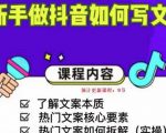 新手做抖音如何写文案，手把手实操如何拆解热门文案-则成副业项目资源站