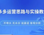 拼多多店铺运营思路与实操教程,快速学会拼多多开店和运营,少踩坑,多盈利-则成副业项目资源站