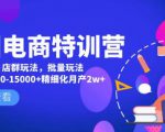 美团电商特训营:美团·店群玩法,无脑铺货月产出6000-15000+精细化月产2w+-则成副业项目资源站