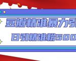 豆瓣精准暴力引流，日引精准粉500+【12课时】-则成副业项目资源站