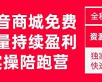 抖音商城搜索持续盈利陪跑成长营，抖音商城搜索从0-1、从1到10的全面解决方案-则成副业项目资源站
