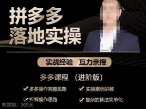 拼多多实战篇·落地实操：多多操作完整思路+实操案例讲解+拆解操作思路+复杂的算法简单化-则成副业项目资源站