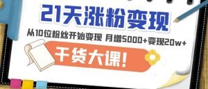 21天精准涨粉变现干货大课:从10位粉丝开始变现月增5000+变现20w+-则成副业项目资源站