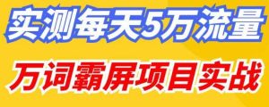 百度万词霸屏实操项目引流课，30天霸屏10万关键词-则成副业项目资源站