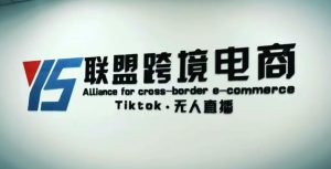 YS联盟·Tiktok无人直播,不出镜不剪辑不拍摄不发货无售后的跨境短视频躺赚玩法-则成副业项目资源站