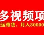 多多带货视频快速50爆款拿带货资格，搬运带货，月入30000【全套脚本+详细玩法】-则成副业项目资源站
