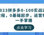 2023拼多多0-100实战运营教程,0基础起步,运营知识一手掌握-则成副业项目资源站