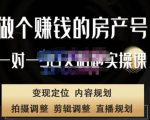 刘广标·同城房产号线上陪跑课,拍摄、剪辑、写文案、直播,做一个具有潜力价值的房产号-则成副业项目资源站