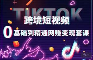 跨境短视频TIKTOK 0基础到精通网赚变现套课,跨境短视频独立站带货变现技巧-则成副业项目资源站