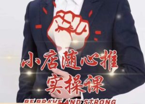 随心推线上课，小店随心推的投放逻辑，投放技巧，快速打标签-则成副业项目资源站