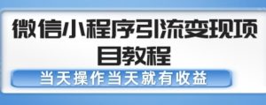 微信小程序引流变现项目教程，当天操作当天就有收益，变现不再是难事-则成副业项目资源站