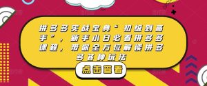 拼多多实战宝典“初级到高手”,新手小白必看拼多多课程,带你全方位解读拼多多各种玩法-则成副业项目资源站