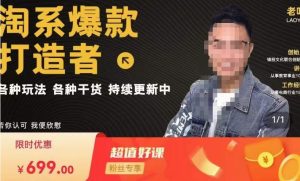 锋投老叶全店动销，淘系干货汇总，各种玩法，淘系爆款打造者-则成副业项目资源站