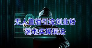 外面收费3980的无人直播引流创业粉落地实操玩法，单日引100+精准创业粉-则成副业项目资源站