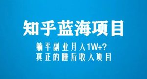 知乎蓝海玩法,躺平副业月入1W+,真正的睡后收入项目(6节视频课)-则成副业项目资源站