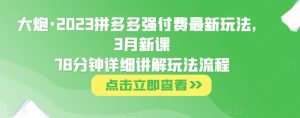 大炮·2023拼多多强付费最新玩法,3月新课78分钟详细讲解玩法流程-则成副业项目资源站