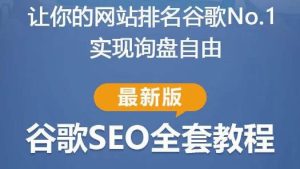 谷歌SEO实战教程：如何让你的网站在谷歌排名第一，内容从入门到高阶，适合个人及团队-则成副业项目资源站