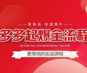 互力-多多新品打爆全流程，拼多多14天拉搜索自然流量，更落地·快速提升-则成副业项目资源站