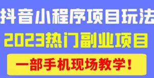 抖音小程序9.0新技巧，2023热门副业项目，动动手指轻松变现-则成副业项目资源站