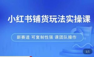 小红书铺货玩法实操课，流量大，竞争小，非常好做，新赛道，可复制性强，可团队操作-则成副业项目资源站