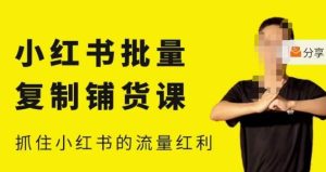 张宾·小红书批量复制铺货课，小红书0-1快速起号变现玩法，抓住小红书的流量红利（更新2023年3月）-则成副业项目资源站