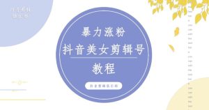 抖音快手暴力涨粉美女混剪视频教程,百分百过原创图片教程!附带违规申诉方法-则成副业项目资源站