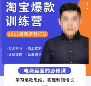 爱上黄昏·淘宝爆款训练营,2023最新运营打法,学习爆款思维,实现利润增长-则成副业项目资源站