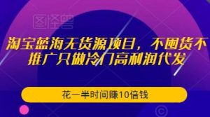 淘宝蓝海无货源项目,不囤货不推广只做冷门高利润代发,花一半时间赚10倍钱-则成副业项目资源站