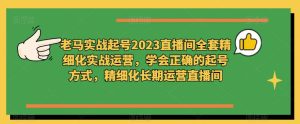 老马实战起号2023直播间全套精细化实战运营，学会正确的起号方式，精细化长期运营直播间-则成副业项目资源站