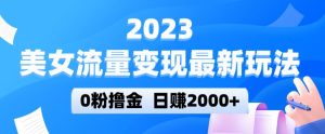 2023美女流量变现最新玩法，0粉撸金，日赚2000+，实测日引流300+-则成副业项目资源站