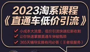 2023直通车低价引流玩法课程，小成本大流量，低价引流快速拉新收割，让你快速掌握直通车突破瓶颈-则成副业项目资源站