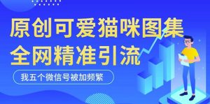黑科技纯原创可爱猫咪图片，全网精准引流，实操5个VX号被加频繁-则成副业项目资源站