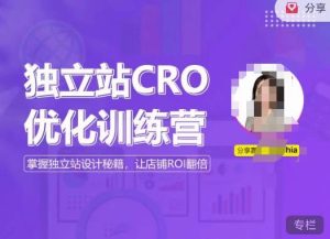 独立站CRO优化训练营，掌握独立站设计秘籍，打造高转化的独立站，让店铺ROI翻倍-则成副业项目资源站