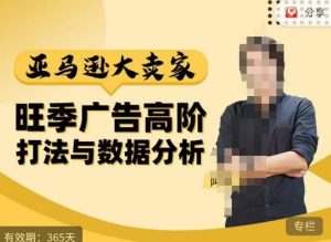 阿甘·亚马逊大卖家广告高阶打法与数据分析，走出传统广告误区；揭秘大卖惯用打法；数据驱动广告决策-则成副业项目资源站
