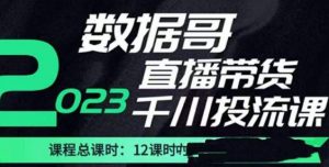数据哥2023直播电商巨量千川付费投流实操课，快速掌握直播带货运营投放策略-则成副业项目资源站
