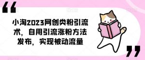 ​小淘2023网创类粉引流术，自用引流涨粉方法发布，实现被动流量-则成副业项目资源站