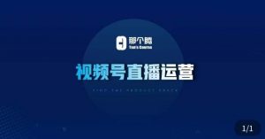 那个腾·视频号直播运营,视频号直播推流逻辑/流量渠道解析/直播起号攻略/直播实操技巧-则成副业项目资源站