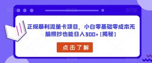 正规暴利流量卡项目，小白零基础零成本无脑照抄也能日入300+【揭秘】-则成副业项目资源站