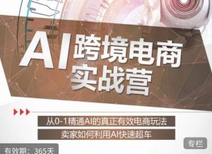 白龙老师·AI跨境电商实战营：从0-1精通Al的真正有效电商玩法，卖家如何利用Al快速超车-则成副业项目资源站